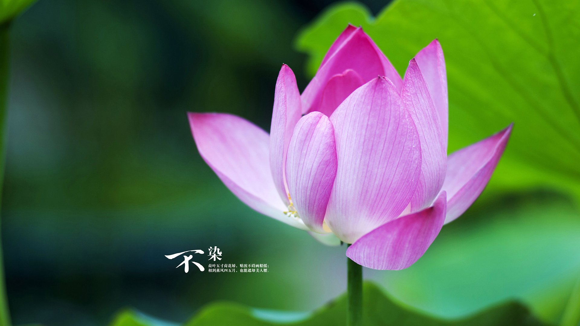 爱游戏大厅官网-NBA设立球员健康实验室，研究运动负荷管理，nba球员健身训练计划