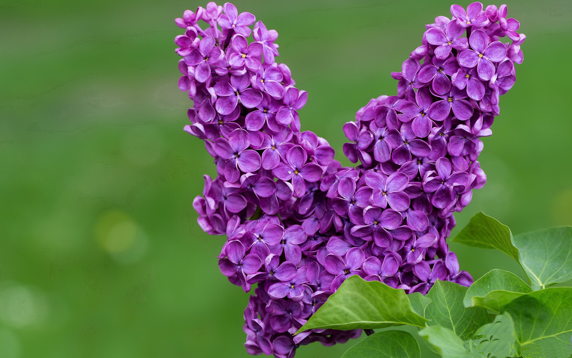 爱游戏大厅官网-“明星对决——联盟Top5投手全场对垒，谁能笑到最后？”，明星对决综艺节目