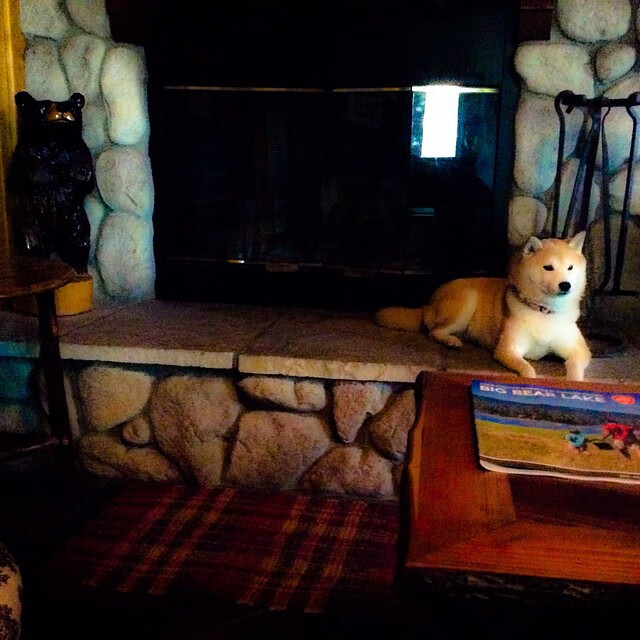 《电竞行业跨界融合：从游戏到电影、电视剧的全新布局》，电竞领域