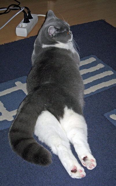 关键罚球决定胜负,悬念迭起,罚球的前提